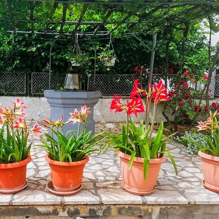 Apartman Lavanda Sa Bazenom I Okucnicom 4* Hreljin Экстерьер фото