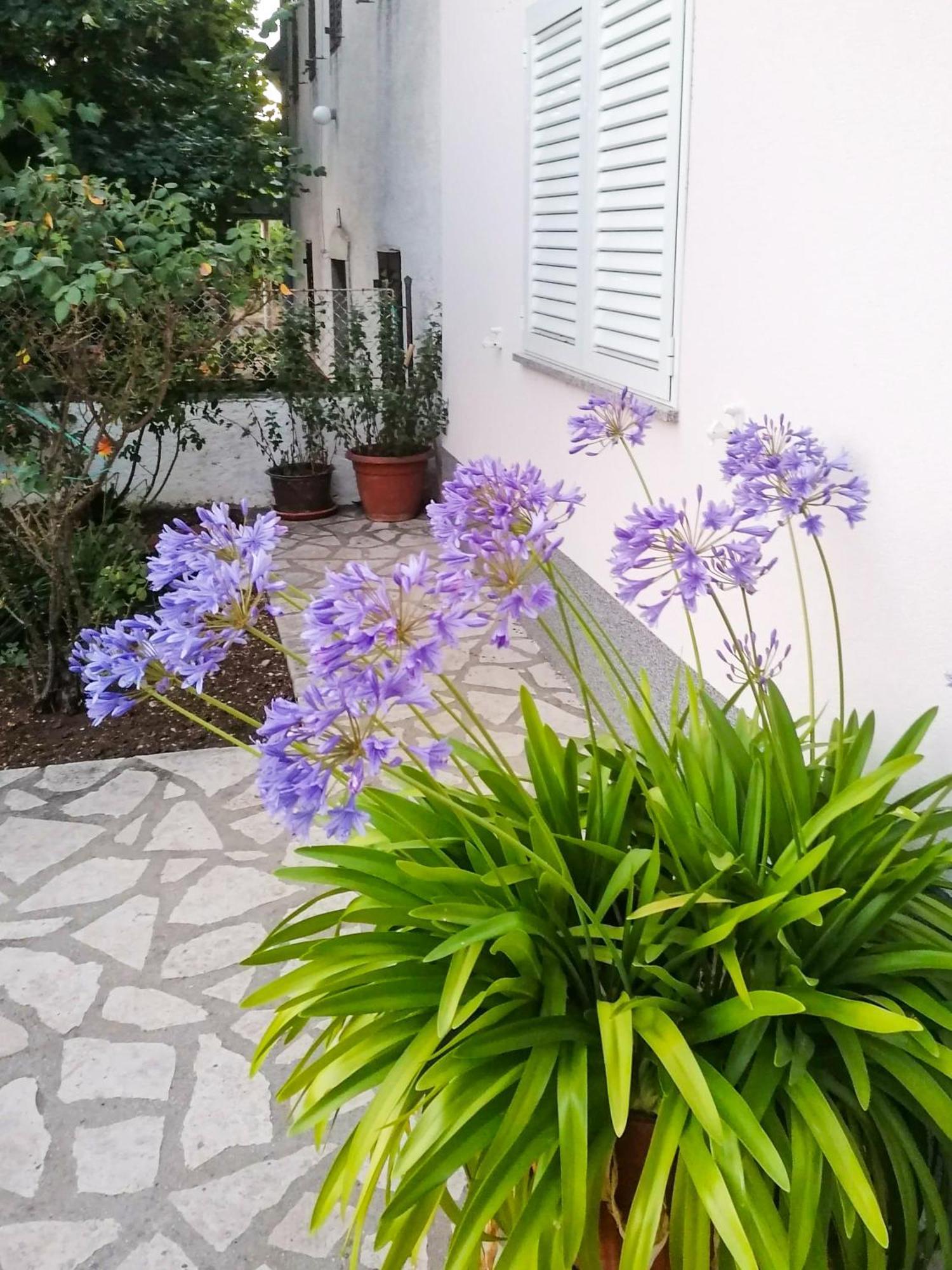 Apartman Lavanda Sa Bazenom I Okucnicom 4* Hreljin Экстерьер фото
